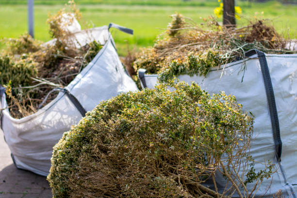 Best Basement Cleanout Services  in Great Falls, SC